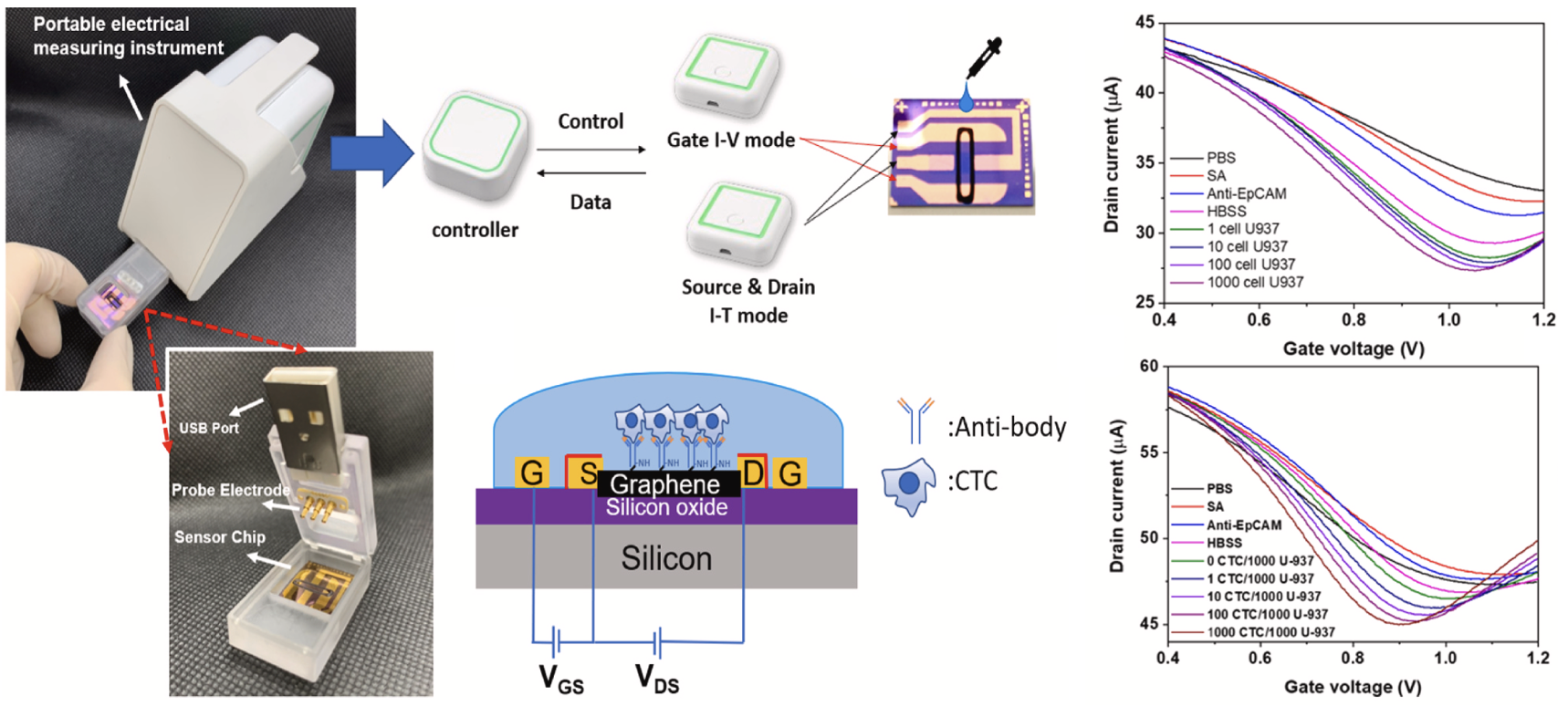 Enhancing circulating tumor cell capture: Amin-functionalized bilayer graphene biosensing with integrated chip-level system for point-of-care testing